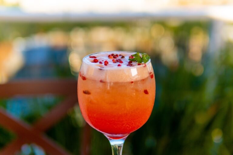 Pomegranate and Blood Orange Tequila Spritzer |
