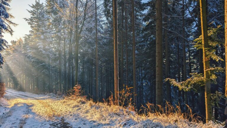 Spirituality and Health: Universal Love