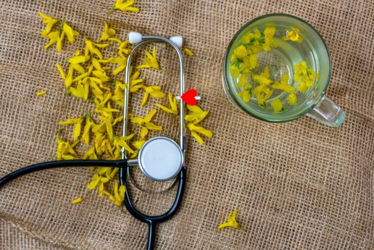 What Are They, and How Can They Benefit You? |