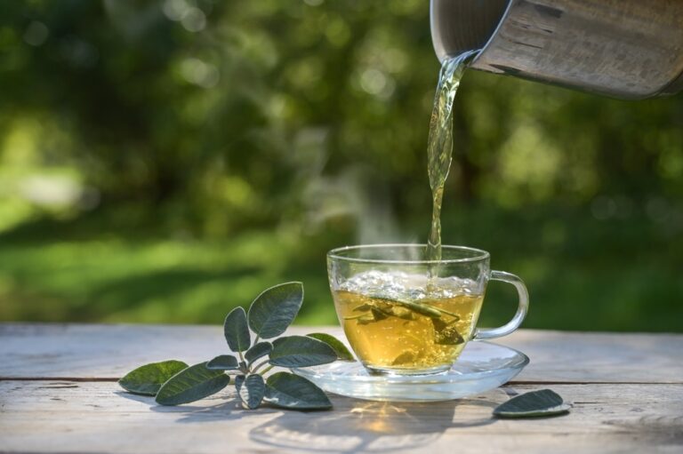A Natural Boost for Gut Health & Blood Sugar