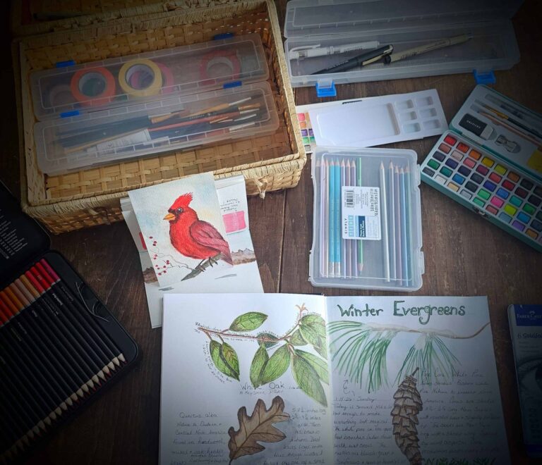 Keeping A Nature Journal: A Gentle Way To Build Relationship With The Natural World