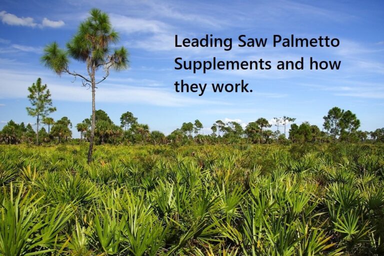 The Best Saw Palmetto Supplements |