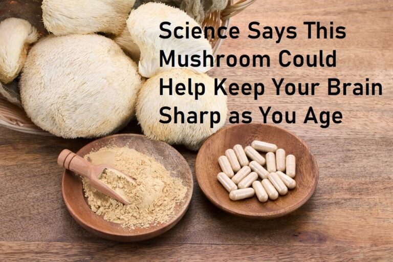 The Best Lion’s Mane Supplements |